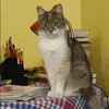Отзыв от Анжелика Жукова